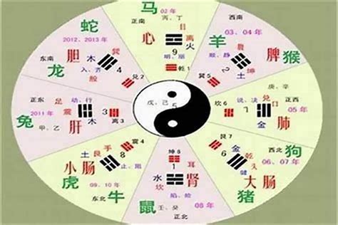 智的五行|智字的五行属性